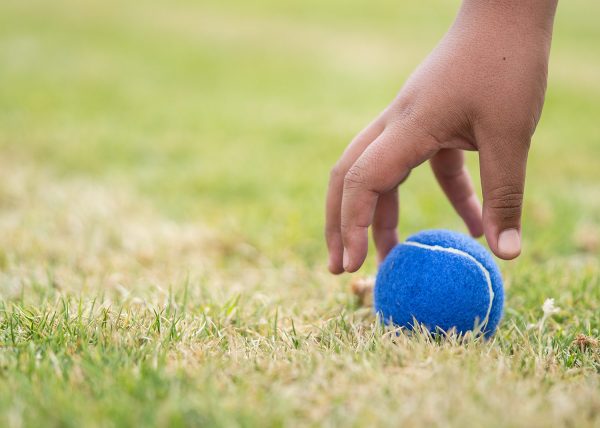 Pelota para mascotas Marley - Image 5