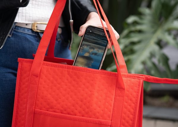 Bolsa Sunday - Image 5