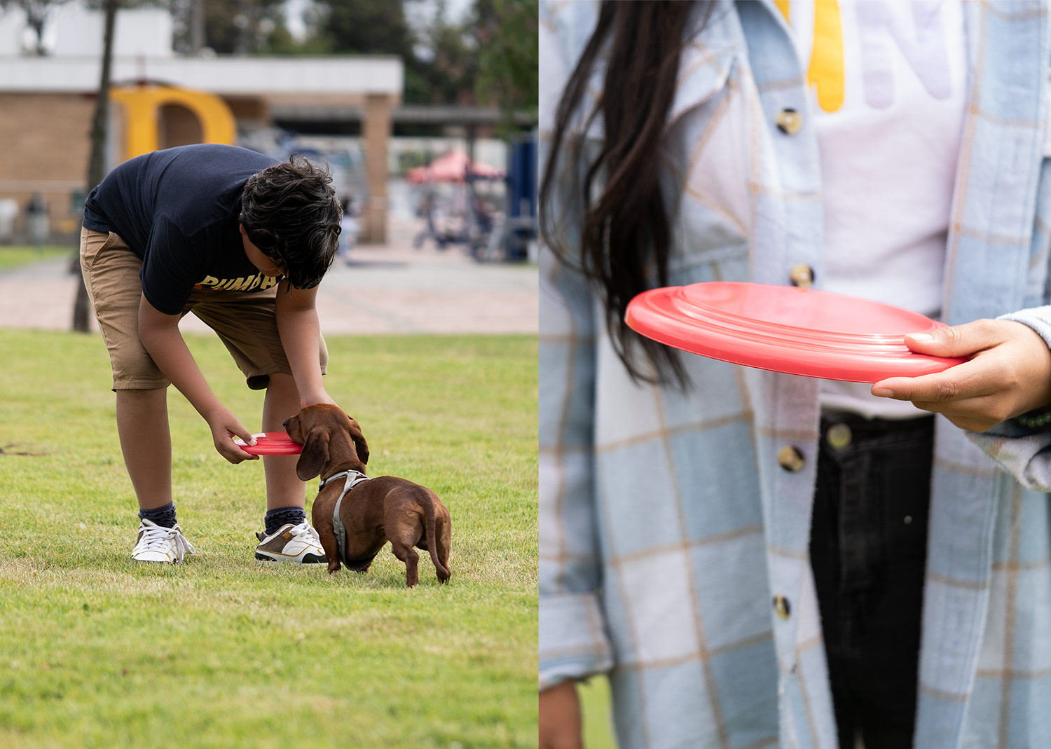 Frisby para Mascotas Scrappy - Image 11