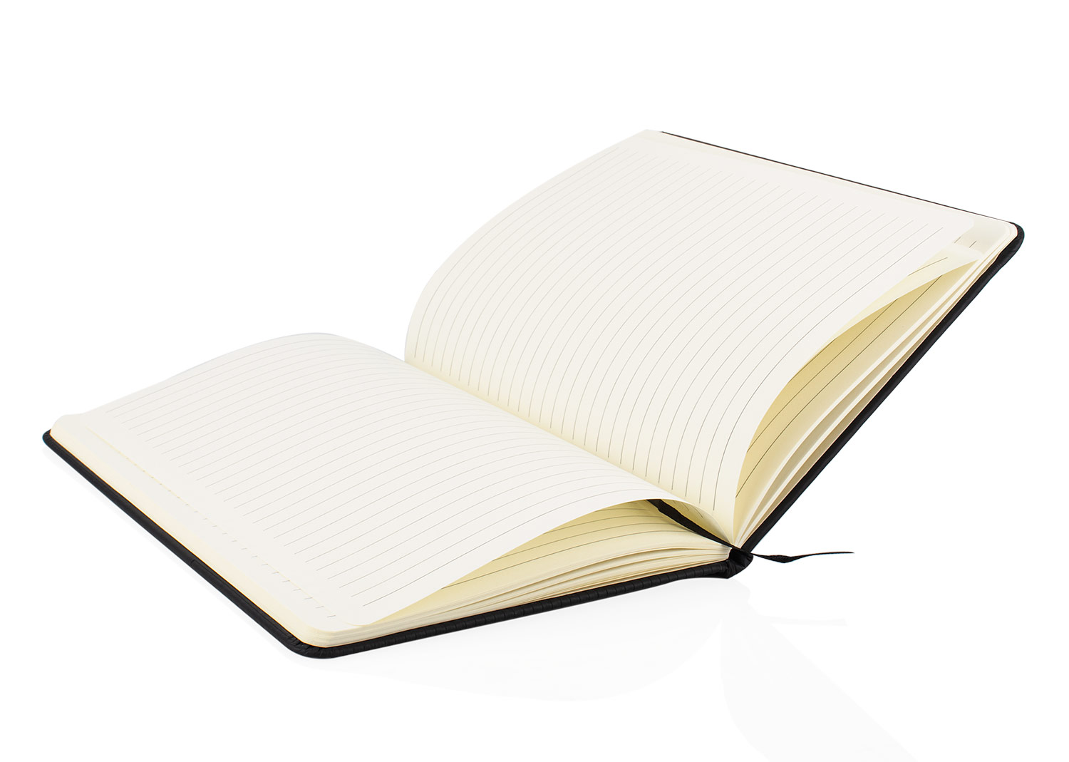 Libreta Curie - Image 2