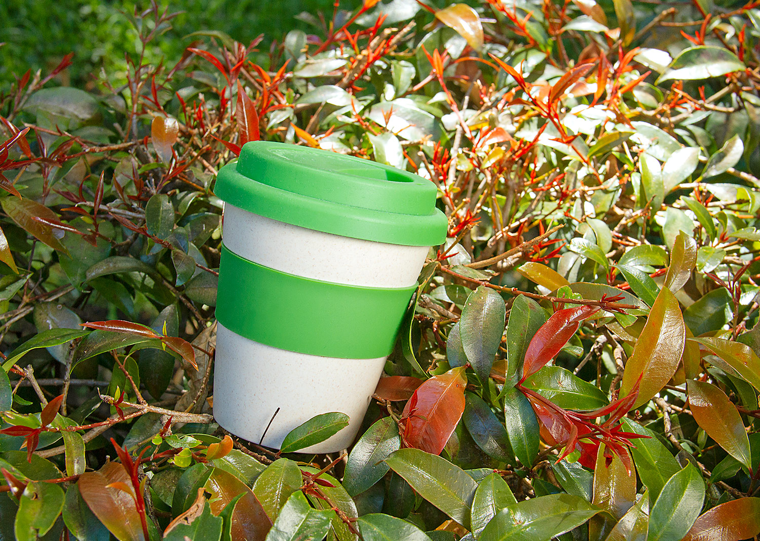 Vaso Bambú II 350 ml / 12 Oz - Image 22