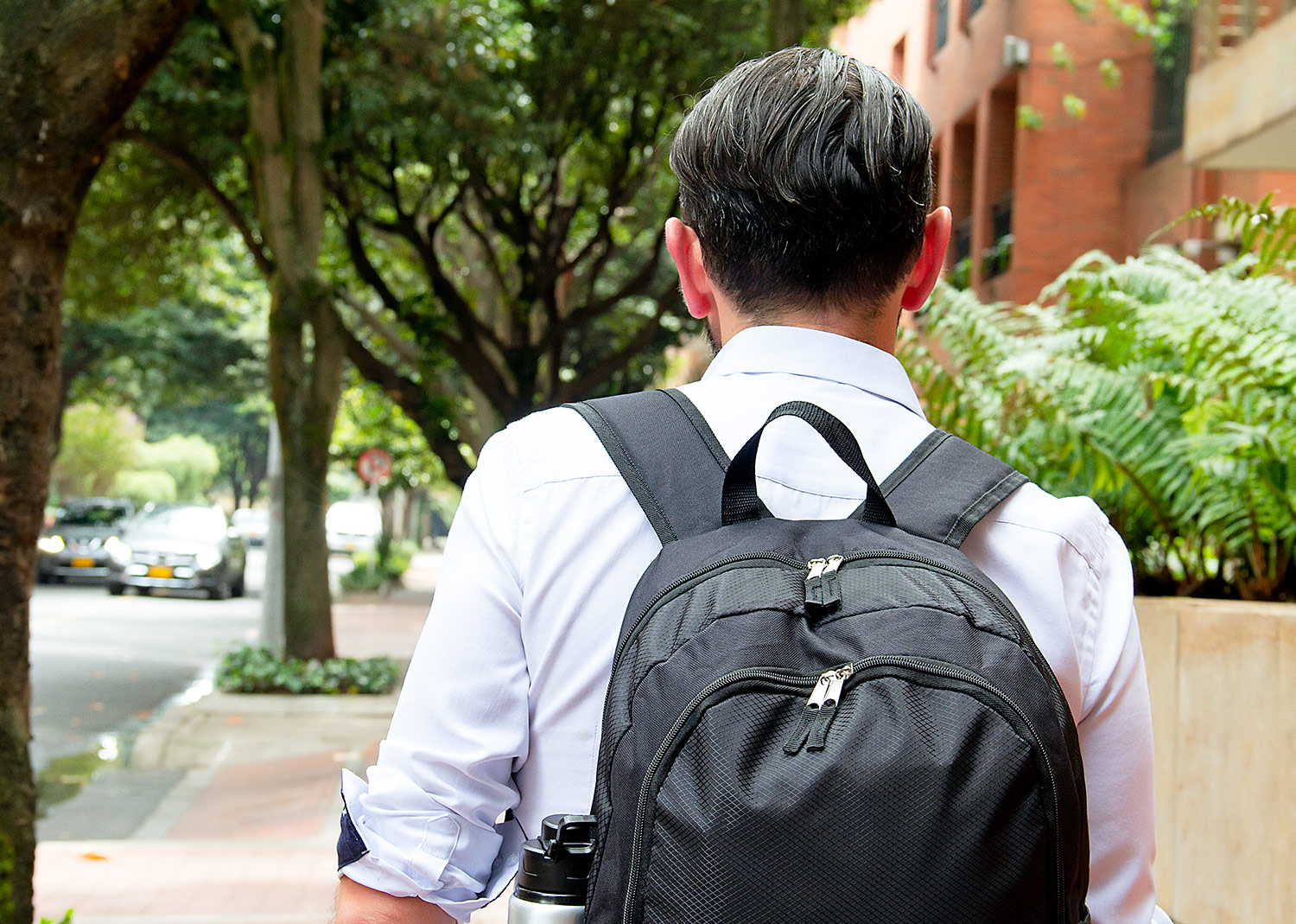 Morral Picasso 17 Lts. - Image 10
