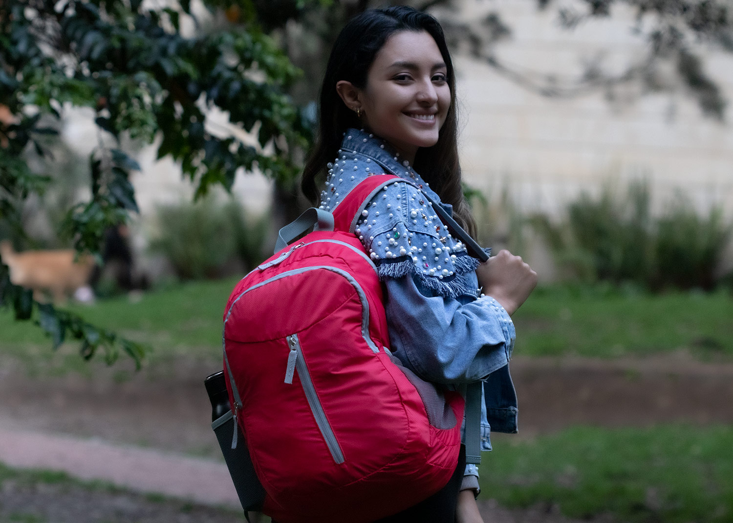 Bolso Plegable Cleopatra 20 Lts. - Image 4