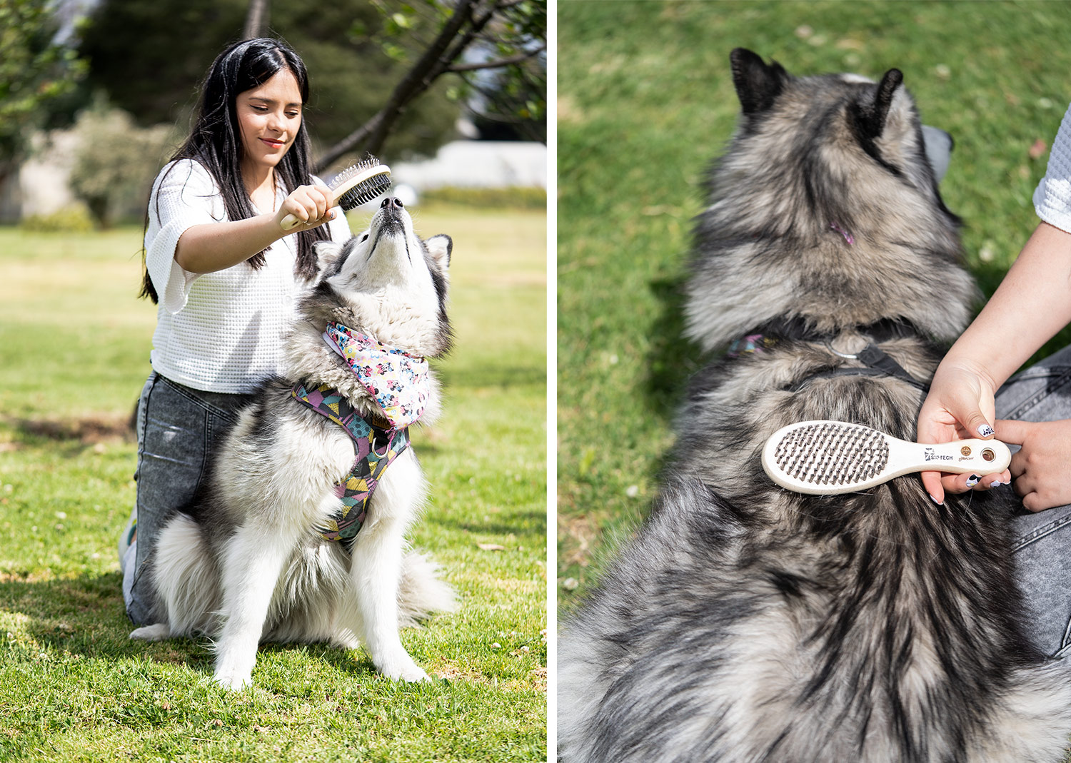 Cepillos para Mascotas Laika - Image 7