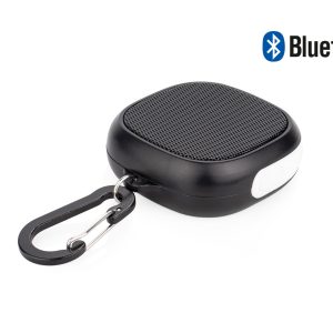 Altavoz Allegro
